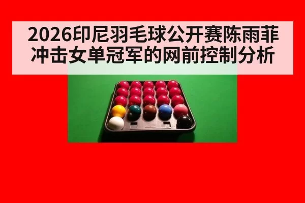 2026印尼羽毛球公开赛陈雨菲冲击女单冠军的网前控制分析